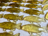Handmade Fish Soap - Earthy Scent 1oz