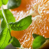 2 oz Mini Mason Orange Grove Soy Jar Candle