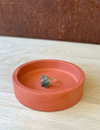 Earth Tone Jewelry Dish