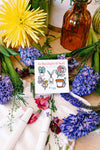In Sunlight & Soil Mini Coloring Book - Plant & Garden Theme