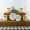 You Are All Kinds Of Amazing - 10 oz Endless Summer Scent Soy Candle