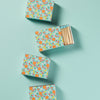 Fruit Salad Matchbox with Colorful Matchsticks