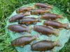 Handmade Fish Soap - Earthy Scent 1oz