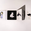 Baby's Black and White Contrast Book