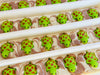 Turtle Handmade Soap Bar for Kids (Vegan Cold Process)