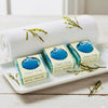 Shark Handmade Soap Bar for Kids (Vegan Cold Process)
