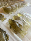 Handmade Fish Soap - Earthy Scent 1oz