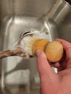 Solid Dish Soap - White Dish, Lemon Scent